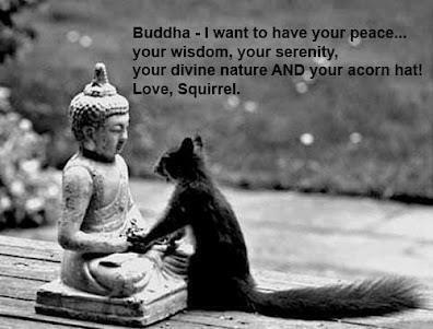 Acorn hat Buddha with squirrel