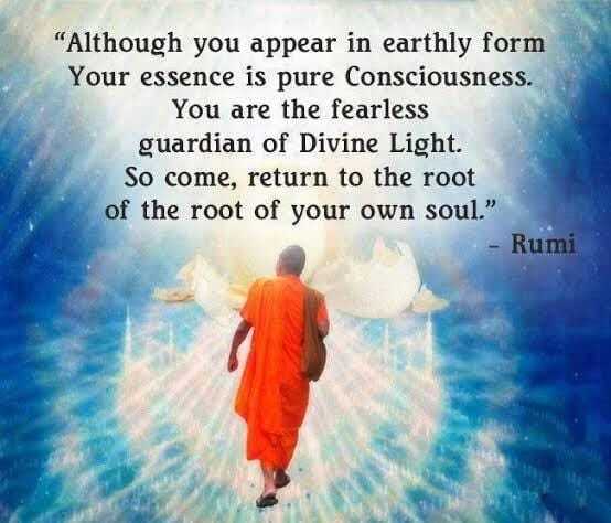 Rumi return to the root