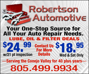 RobertsonAuto 300x250Ad