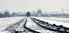 View of the rail way tracks at the former Nazi concentration camp Auschwitz-Birkenau in Oswiecim, Poland, on Holocaust Day, January 27, 2014. The ceremony took place 69 years after the liberation of the death camp by Soviet troops, in rememberance of the victims of the Holocaust. AFP PHOTO/JANEK SKARZYNSKI (Photo by JANEK SKARZYNSKI / AFP)