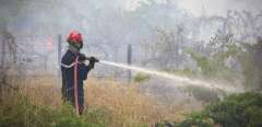 Interventions des sapeurs pompiers du gard sur un incendie qui s'est declare dans un champ de vignes, près de la commune de Caissargues.