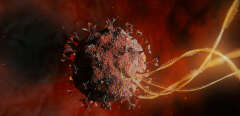 Image d’illustration d’un virus du Covid-19.
