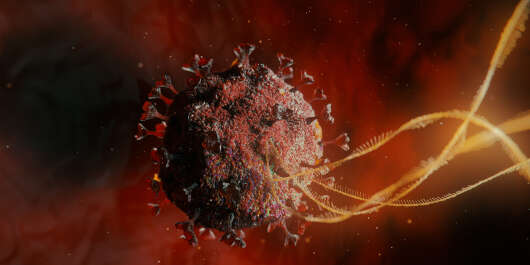 Image d’illustration d’un virus du Covid-19.