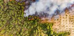 Panoramic Aerial Bird's Eye view from a drone of the wildfire flames burning Evia Island, destroying pine tree forest, olive groves and houses. The biggest environmental disaster in the country connected with climate change after a long heatwave. Firefighters continue to tackle the fire near the villages of Dafni and Kourkouli, in the Greek Island of Evia (Euboea), on August 6, 2021. (Photo by Nicolas Economou/NurPhoto) (Photo by Nicolas Economou / NurPhoto / NurPhoto via AFP)