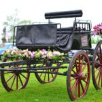 pink and purple flowers on black carriage