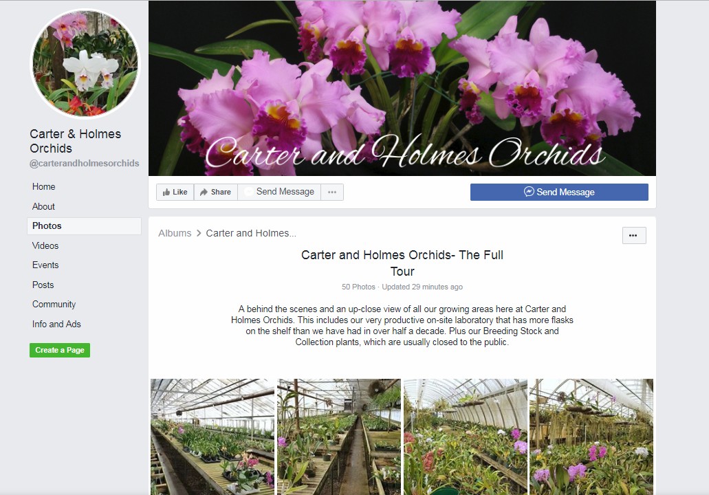 Cape And Islands Orchid Society