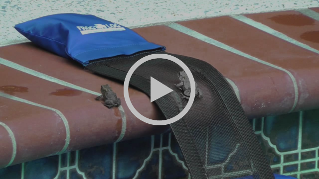 VIDEO - Help Keep Small Critters Out Of Your Pool Or Pond With The FrogLog Escape Ramp