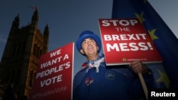 An anti-Brexit demonstrator hold placards opposite the Houses of Parliament, in London, Britain, Nov. 13, 2018.