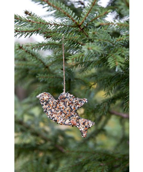 homemade bird seed christmas ornament