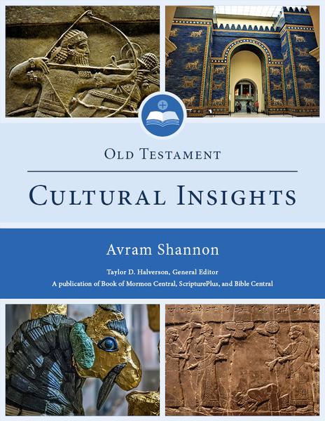 Cover image for Old Testament Cultural Insights