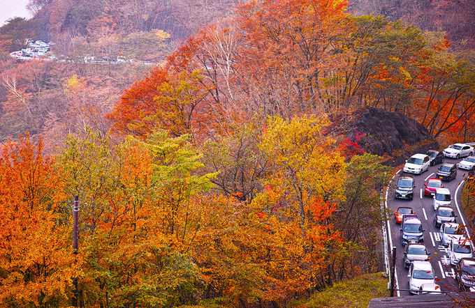 Mùa lá đỏ trên con đèo 48 khúc cua ở Nhật
