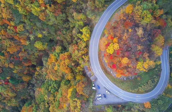 Mùa lá đỏ trên con đèo 48 khúc cua ở Nhật