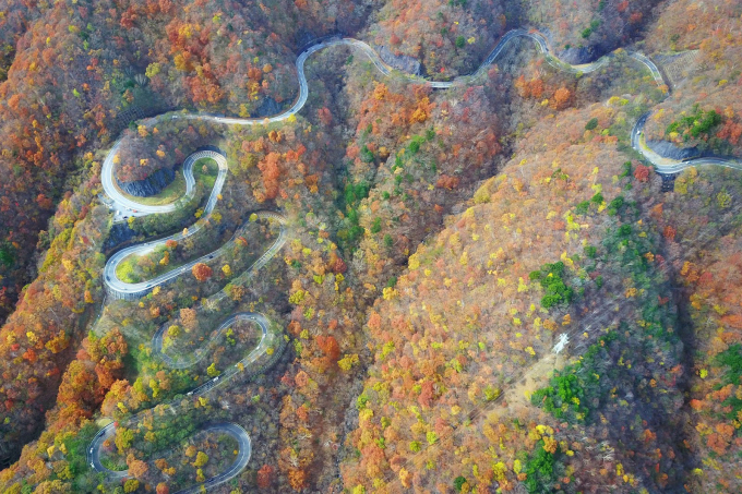 Mùa lá đỏ trên con đèo 48 khúc cua ở Nhật