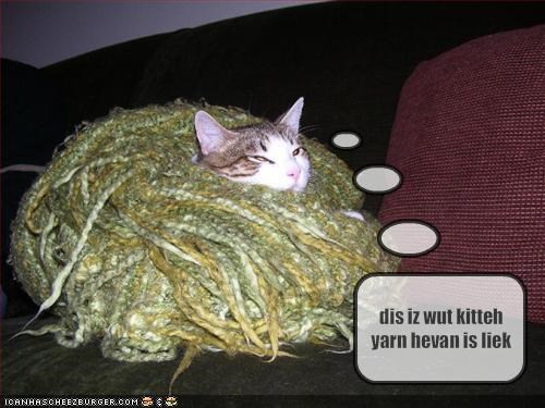 Image result for yarn funny