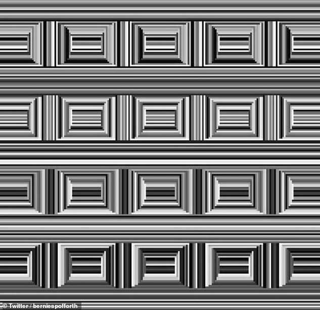 The illusion was shared by UK-based business woman Bernie Spofforth, on her Twitter account. Can you find the 16 circles?