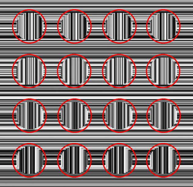 If you focus on the vertical lines, you can see that small circles are also present in the optical illusion (pictured)