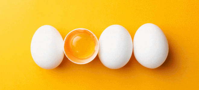 Test yourself in our egg-cellent quiz Test yourself in our egg-cellent quiz