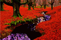 Forest Psychedelic GIF - Forest Psychedelic Beauty GIFs