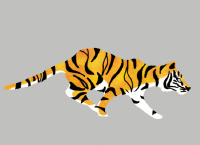 GIFs Animation Tiger Run cycle GIF
