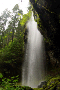 Landscape Forest GIF - Landscape Forest Waterfall GIFs