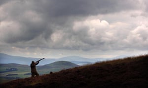 A gamekeeper on a Scottish grouse moor