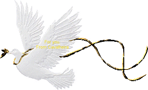 Risultato immagini per gif animate dello Spirito Santo