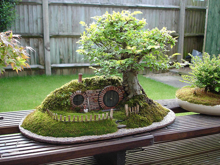 Bonsai đẹp Bonsai đẹp