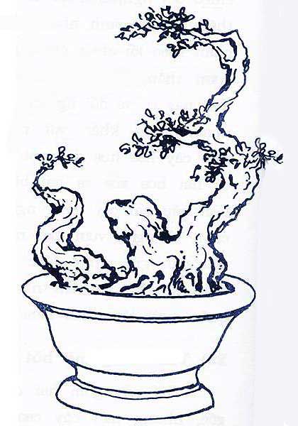 Long bàn hổ phục Long bàn hổ phục