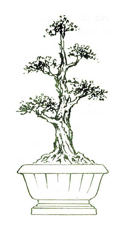 Thế trung bình ngay Thế trung bình ngay