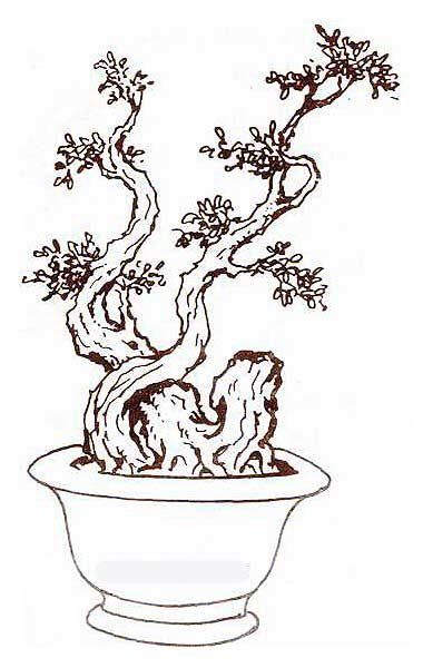 Thế long đàn phượng vũ Thế long đàn phượng vũ