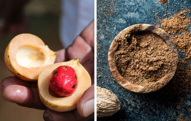 Gia vị nhục đầu khấu