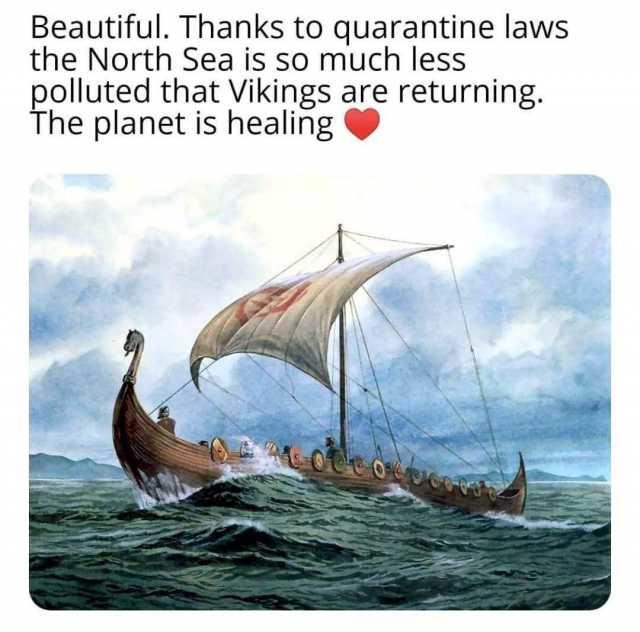Beautiful. Thanks to quarantine laws the North Sea is so much less polluted that Vikings are returning. The planet is healing Viking Age Boat Viking ships Vehicle Longship Watercraft