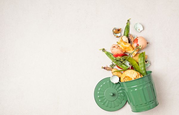 Compost: comment éviter les mauvaises odeurs et éloigner les mouches?