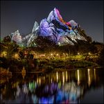Animal kingdom