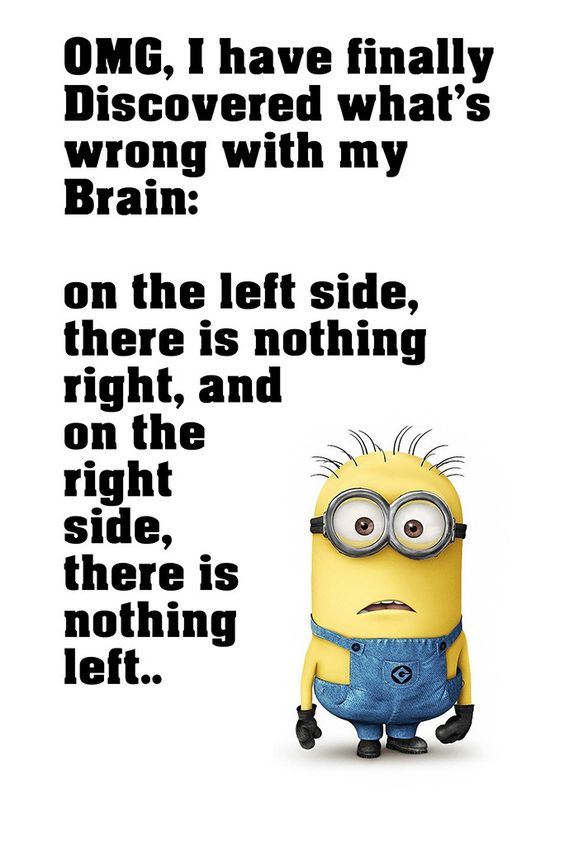 Minion Quotes Brain Funny Motivational Poster                                                                                                                                                      More