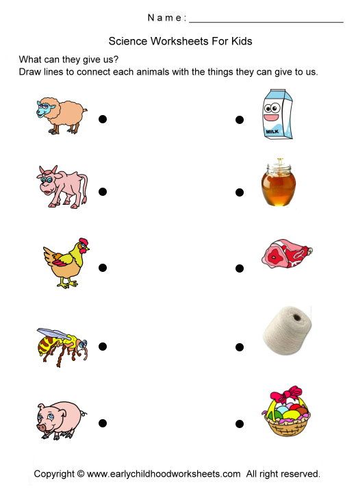 (2014-07) Hvad producerer dyrene?