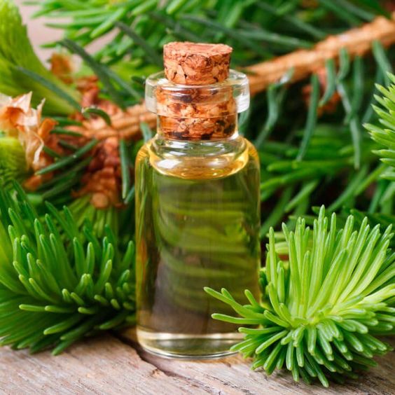 Fir Needle Essential Oil — Fight Cancer, Infections & Even Odor by @draxe