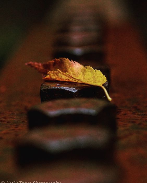 Uncategorized photo by Sidney Katkazoom