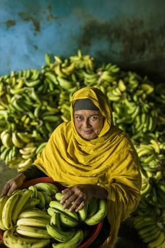 Photographic Print: A Banana Farmer in Bangladesh by Jim Richardson : 24x16in