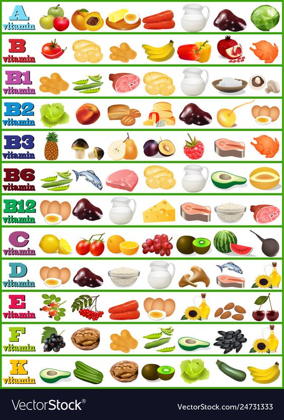 Table of vitamins - set of food icons organized Vector Image