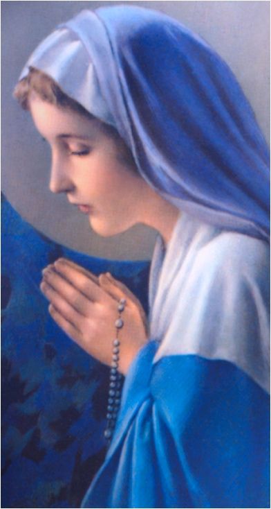 HAIL MARY: GENTLE WOMAN ~ Hail Mary, full of grace, the Lord is with you. Blessed are you among women, and blest is the fruit of your womb, Jesus. Holy Mary, Mother of God, pray for us sinners now, and at the hour of death. Amen. ~~ Gentle woman, quiet light Morning star, so strong and bright, gentle Mother, peaceful dove, teach us wisdom; teach us love.