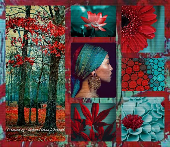 '' Stunning Colors ~ Aqua & Red '' by Reyhan Seran Dursun