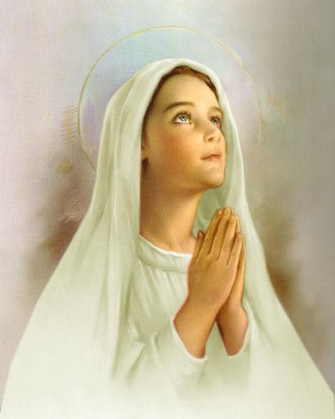 "No vayas a Santa María sólo a pedir. ¡Ve también a dar!; a darle afecto." #Ángelus