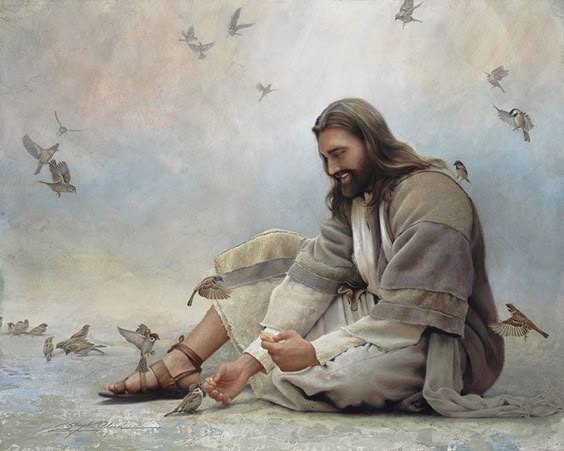 As I look at the intricate design of these little sparrows, experience tells me that where there is a design, there is a designer! It is a comforting thought to consider that somewhere there is a Creator who is aware of and has love for... Read More ›