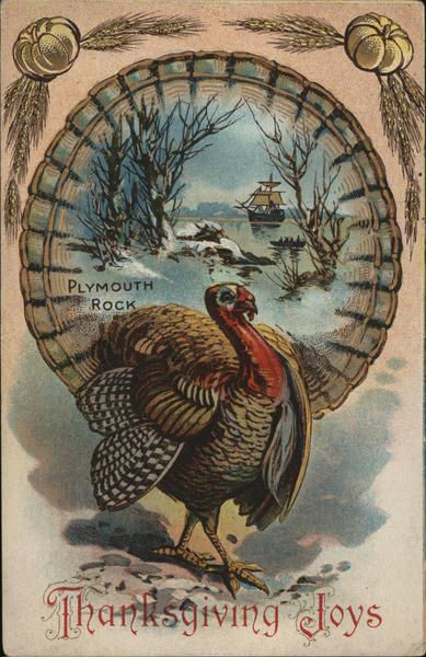 Thanksgiving Joys Turkeys Postcard