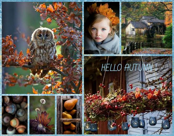 '' Hello Autumn '' by Reyhan Seran Dursun