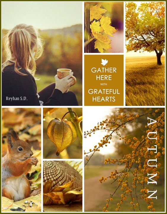 '' Autumn '' by Reyhan S.D.