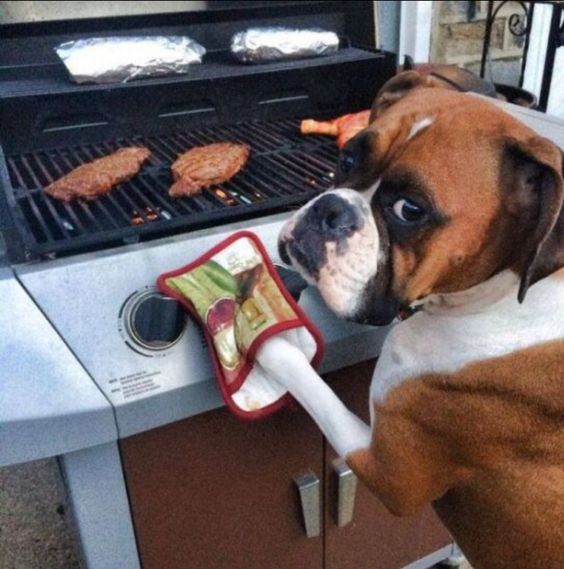 Chef Maggie :) OK Don, I can get this. You can eat the peanuts while I cook my steak!