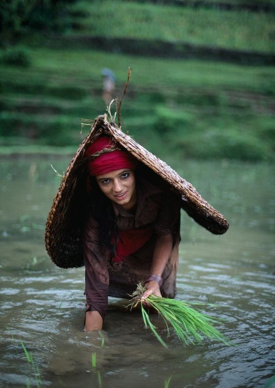 Famous Photographer: Steve McCurry - Little Picture Perfect