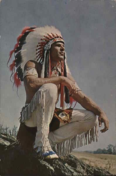 Chrome Postcard Alfred J. Douglass Native Americana